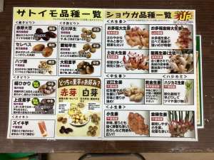 里芋・生姜種のご予約受付け中です！