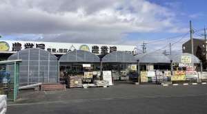 新年の挨拶と定休日のお知らせ