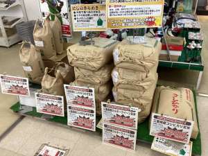 お米を購入するなら今‼️