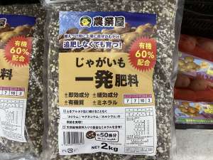 春馬鈴薯の種芋入荷しています