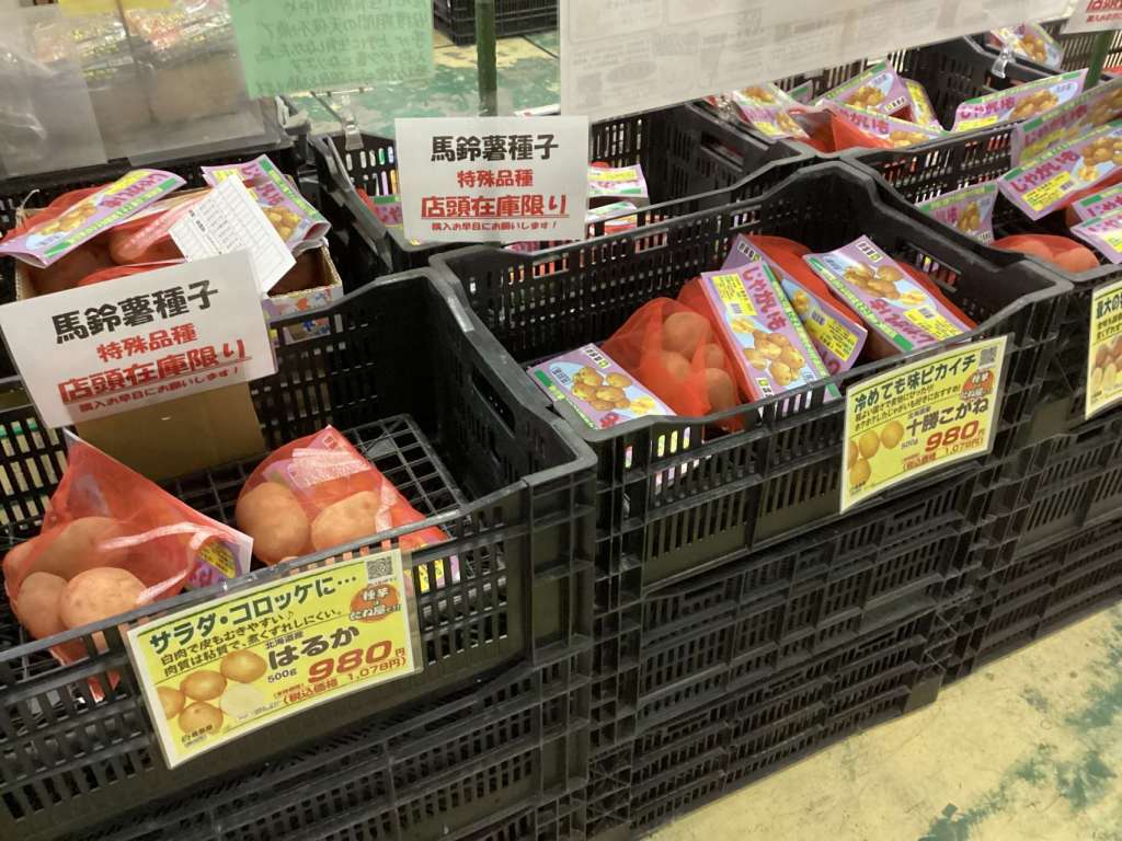 ジャガイモの種芋販売中です！