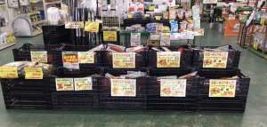 春バレイショ入荷中