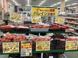春バレイショ品薄です⚠️ご準備お早めに！