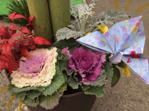 【予告】オープン9周年祭　開催します！！