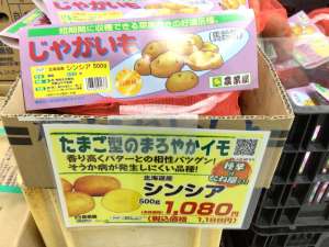 春馬鈴薯を色々入荷しました‼️