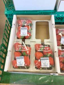 甘くて美味しいイチゴはいかがですか？