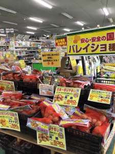 春バレイショ種入荷中！(今年は品薄です)