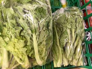 🍃菜花の季節です🍃