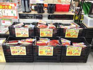 春馬鈴薯を販売中‼️