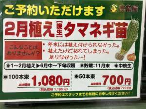 2月植え玉ねぎ苗のご予約承り中！
