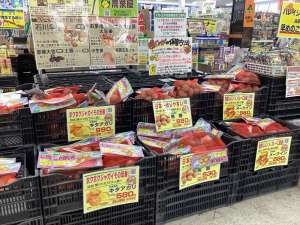 バレイショ　品薄　ご購入はお早めに！！