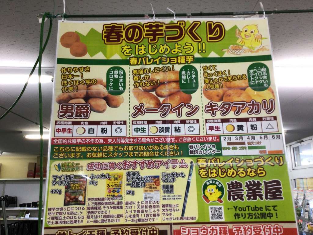 ジャガイモが危機です！