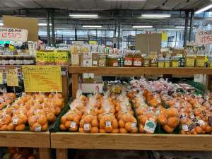 みかん盛り盛り‼️