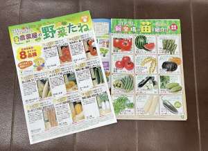 野菜苗種、苗カタログ配布中