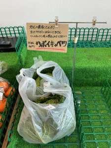 サボイキャベツ､アイスプラントが入荷してきました！