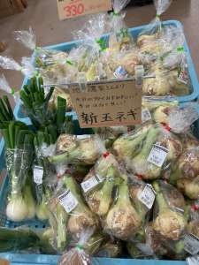 新玉ネギ､ふきのとうが入荷してきました！