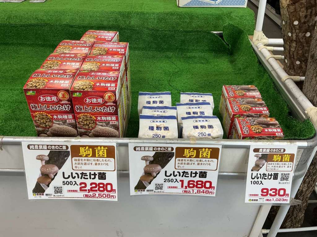 🍄‍🟫しいたけの駒菌まだあります！
