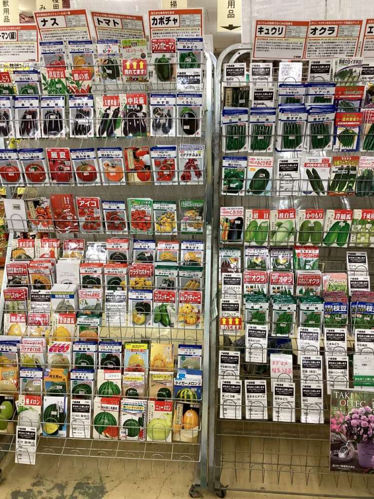 春種続々入荷中
