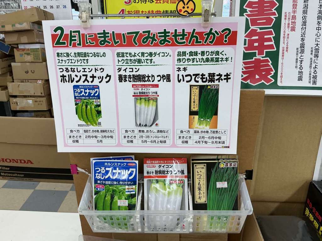 2月にまける野菜種、、、あります‼️