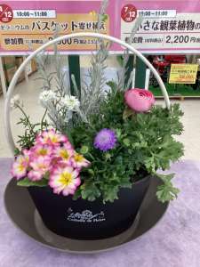 ２月の寄せ植え教室のご予約受付中です♪