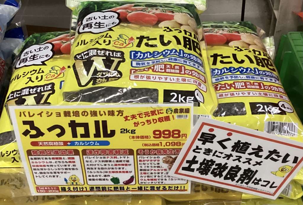 春バレイショの植え付け時期