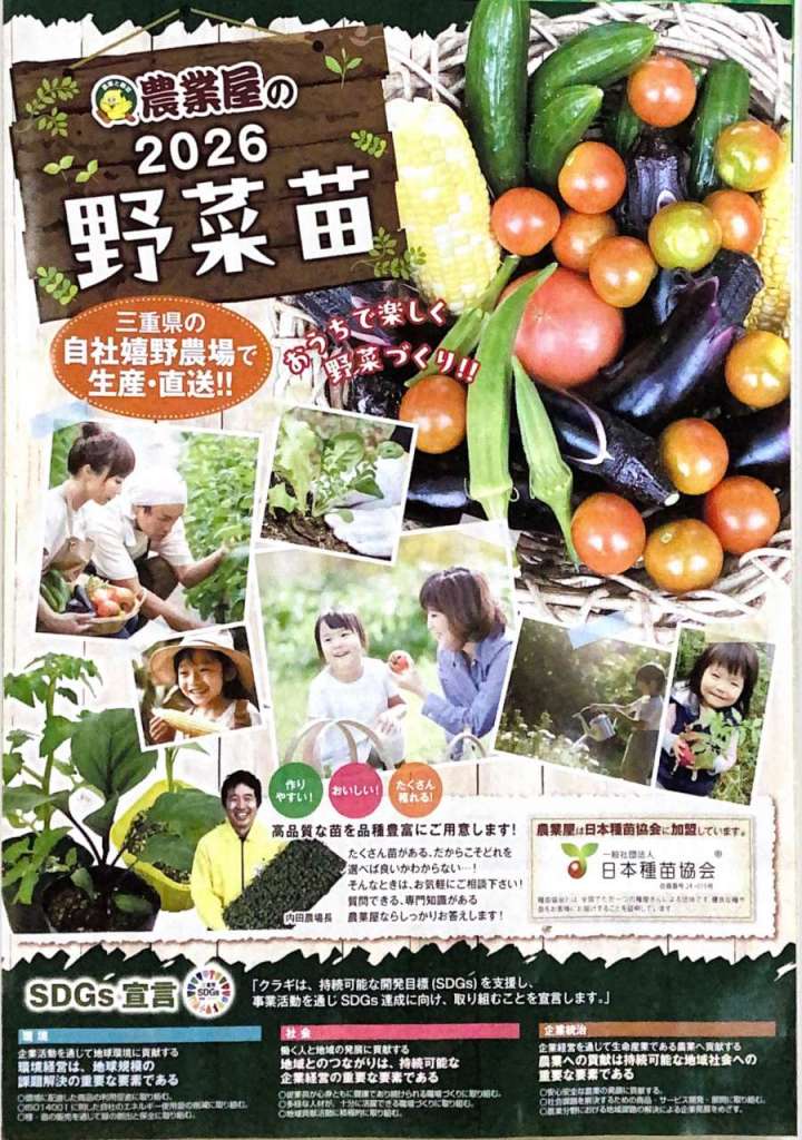 野菜苗カタログ配布中です🌱