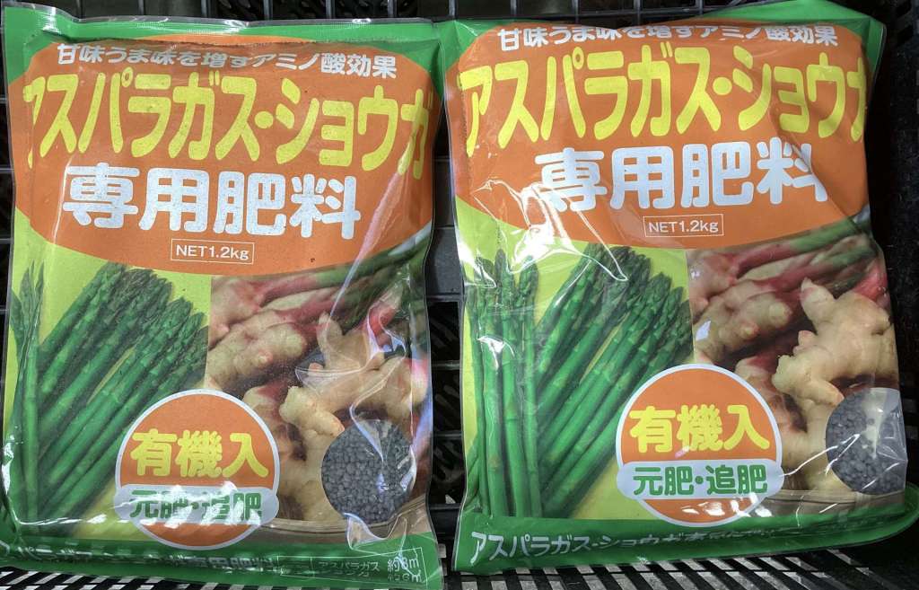 定休日終了のお知らせ／アスパラガスの素掘り苗&ポット苗が販売中です！