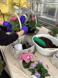 寄せ植え教室を開催しました！