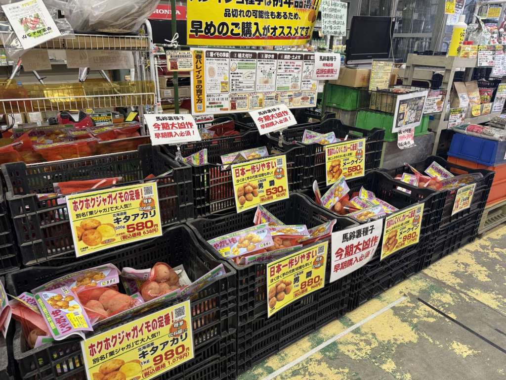 馬鈴薯種子、販売中！