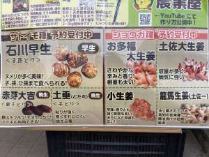 里芋・生姜種ご予約受付中です