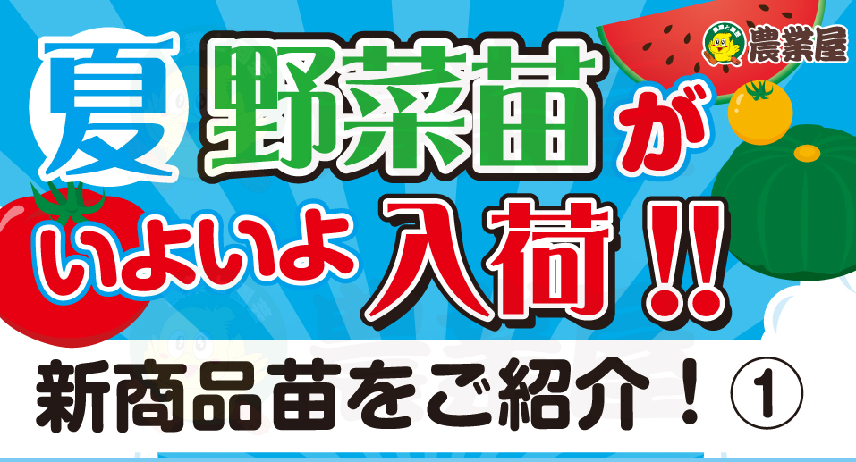 今年の新登場苗のご紹介①夏野菜苗入荷開始！