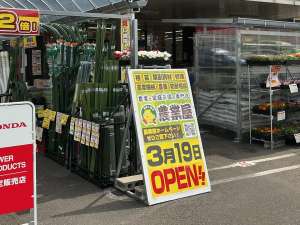 オープンセール最終日！