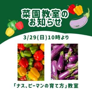 3/29(日)菜園教室のお知らせ