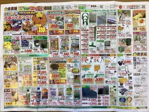 春のセール開催中❣️ポイント２倍‼️