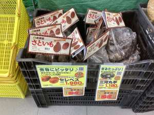 里芋•生姜を入荷しました‼️