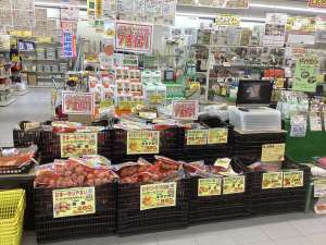 春じゃがいも７割引で販売中❣️