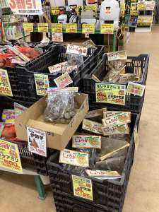 里芋・生姜種続々入荷中！！