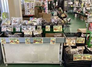 里芋・生姜が入荷しました！