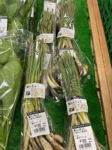春野菜入荷‼️