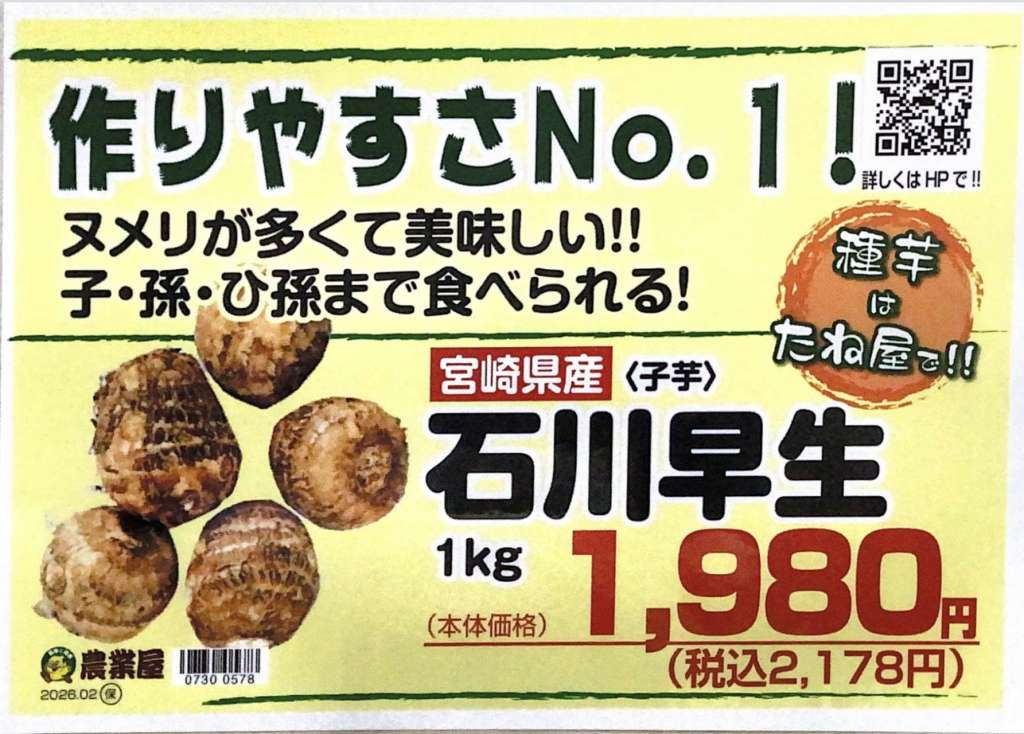 里芋、生姜を植えてみませんか？