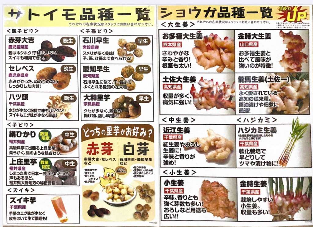 生姜種、里芋種の予約受付中です！