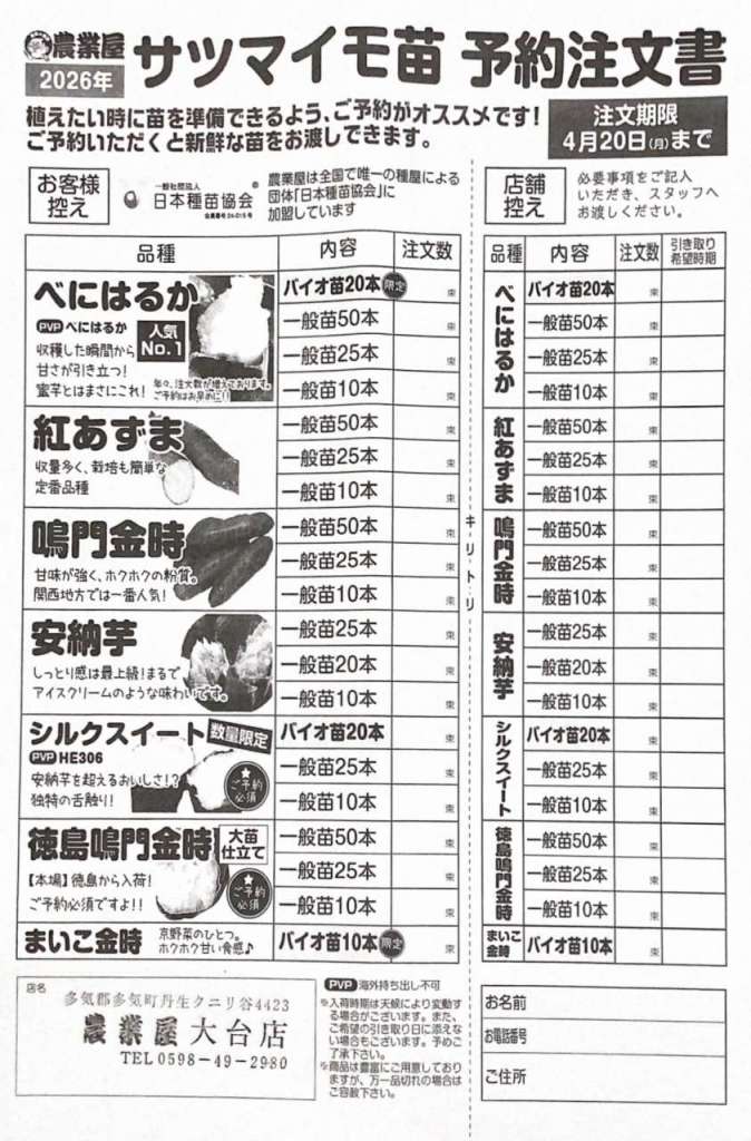 サツマイモの苗ご予約受付中です！