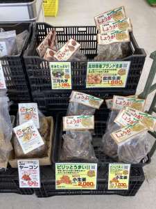 里芋種、生姜種少しですか入荷しました