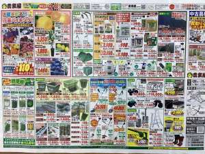 今週のチラシです♪