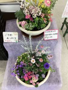 寄せ植え教室のご案内