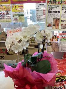 和歌山店　20周年大セール‼️‼️