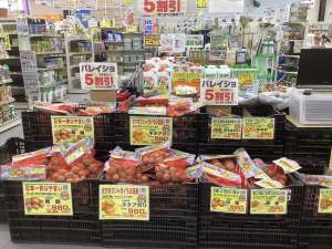 春じゃがいも種を5割引にて販売中‼️