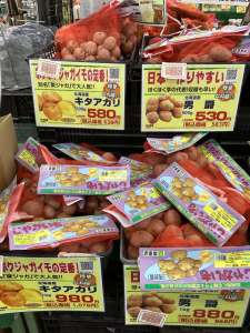 馬鈴薯種芋最終入荷！！今が植え付け時です！