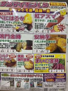 さつまいも苗のご予約承ります🍠