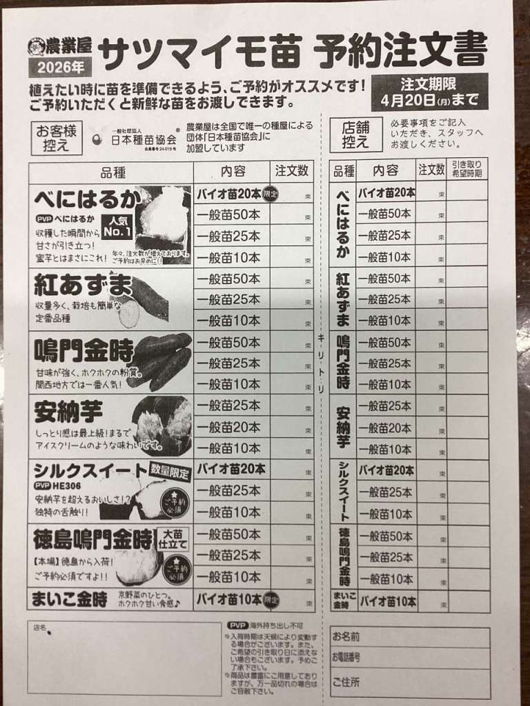 サツマイモ苗予約受付中❗️